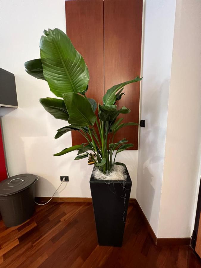 Effealatapartments - Appartamento Del Duca Senigallia Eksteriør billede